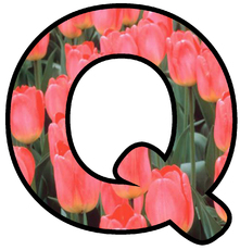 Dekobuchstaben-Tulpe_Q.jpg